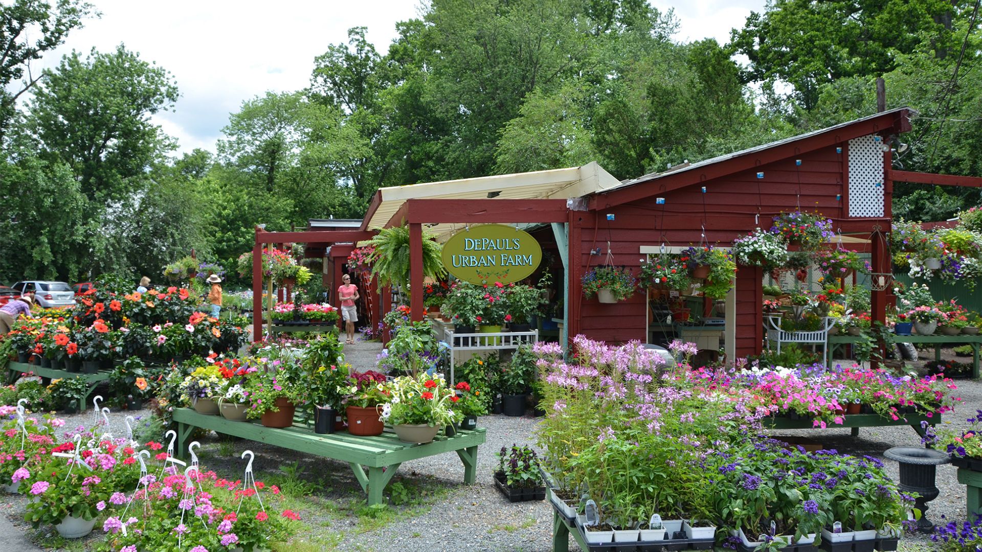 1900-x-1080-VA-Oakton-DePauls-Garden-Center