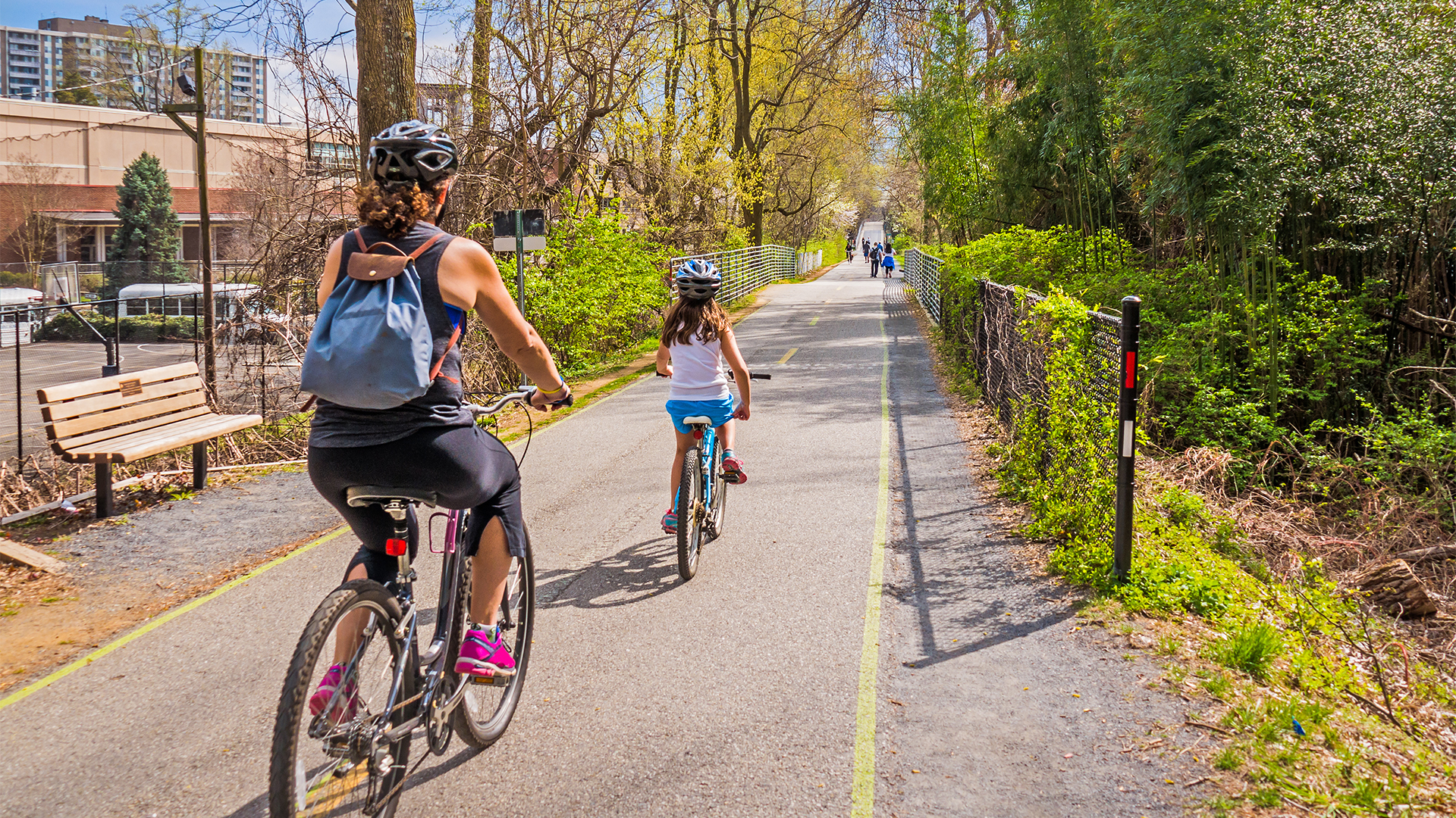 Family ride bikes on urban bike path in the city
